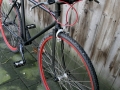 gazelle-singlespeed-20140112-005